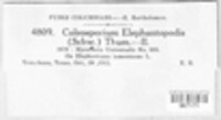 Image Associated With the Occurence